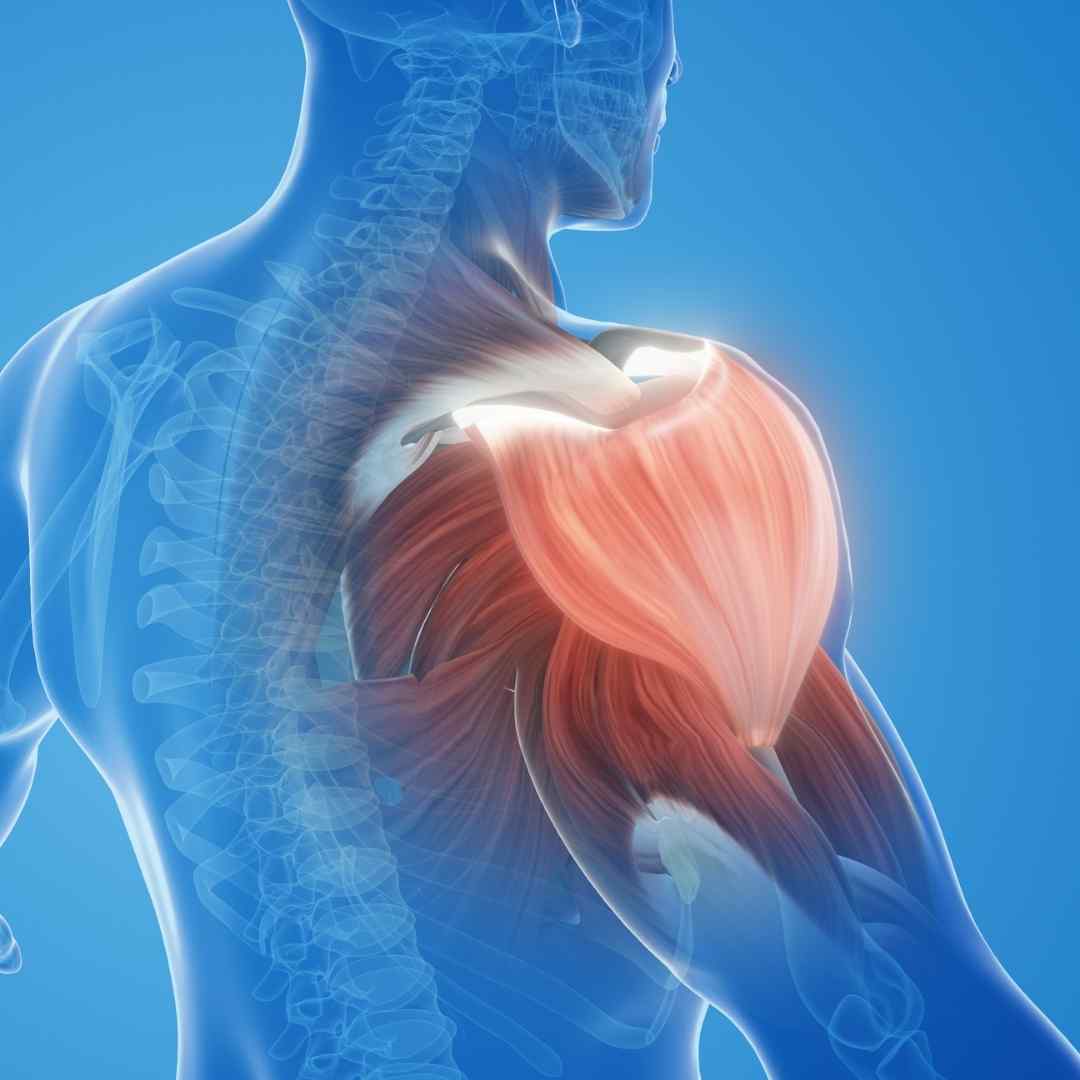 Rotator cuff tear shoulder pain treatment Pure Ortho Hospitals Sainikpuri Hyderabad